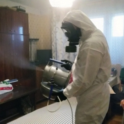 Дезинфекция от клопов в Старой Руссе
