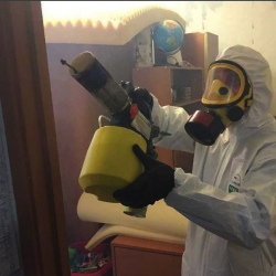 Уничтожение клопов в квартире. Старая Русса